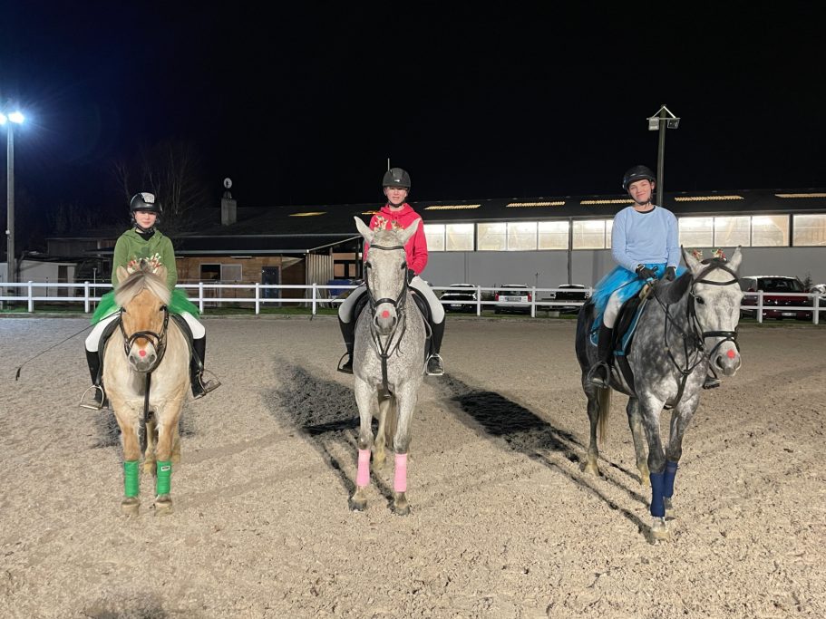 Springquadrille Weihnachtsfeier - Unsere Rentiere